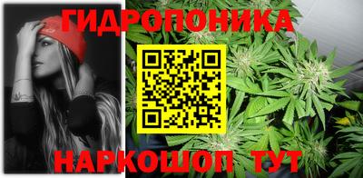 прущие грибы Волгодонск