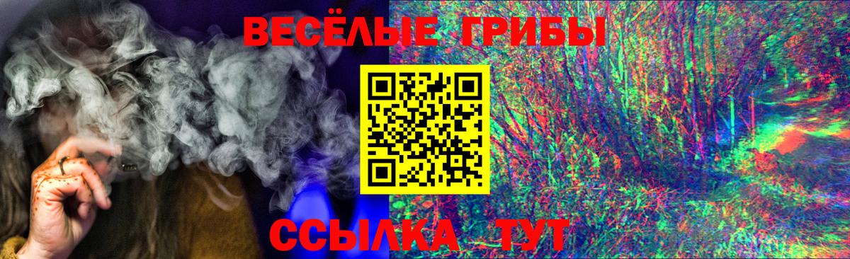 Псилоцибиновые грибы GOLDEN TEACHER Будённовск
