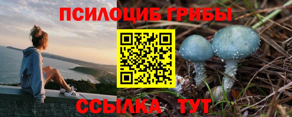 Будённовск  Галлюциногенные грибы Magic Shrooms  Псилоцибиновые грибы MAGIC MUSHROOMS  Вход с VPN 