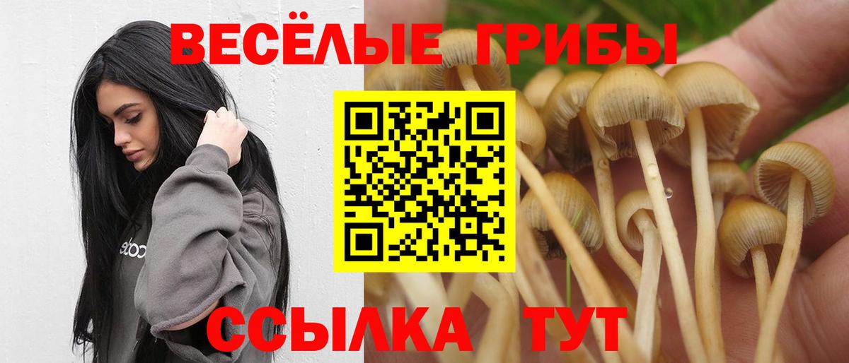 Галлюциногенные грибы прущие грибы  Будённовск 